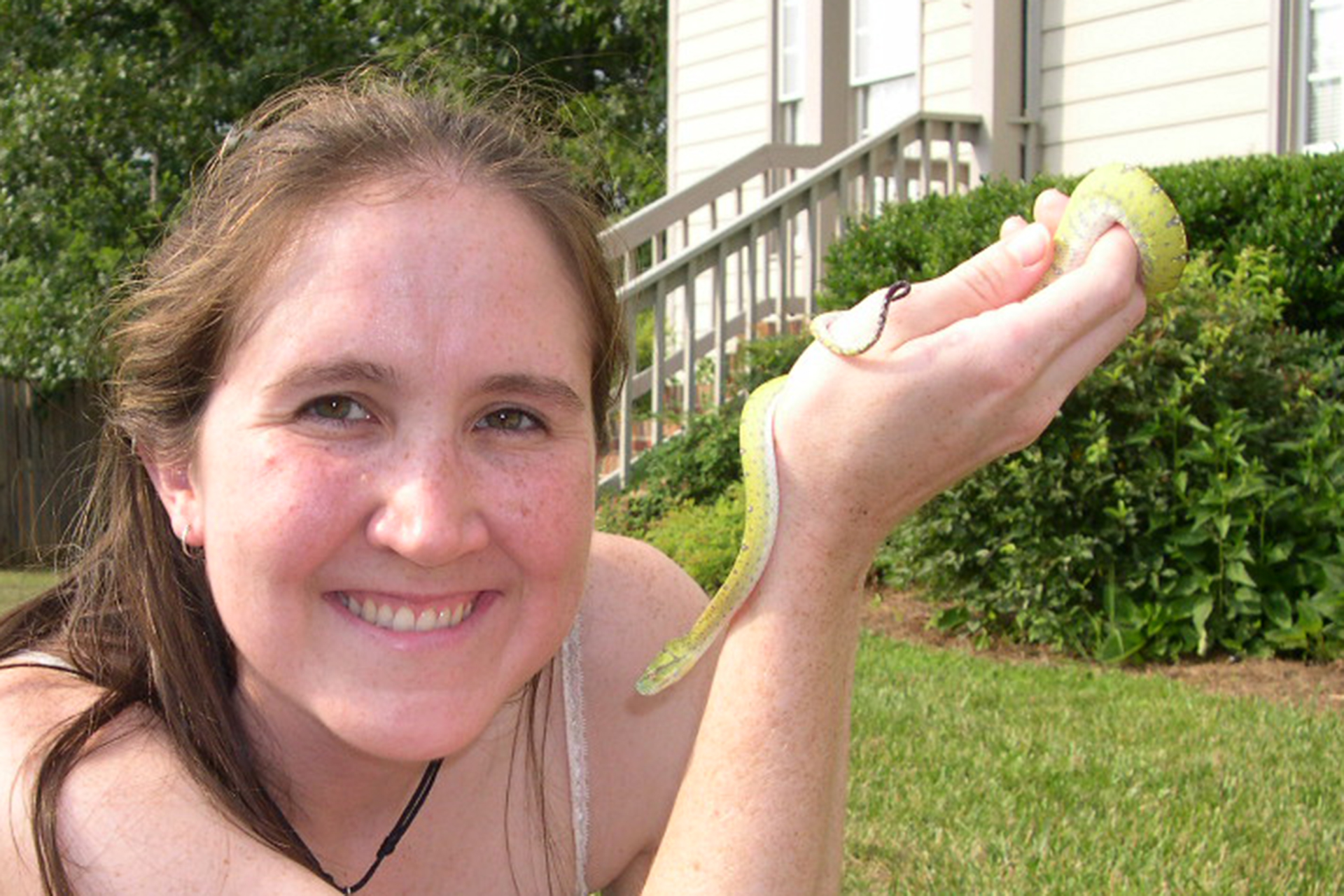 holding subadult